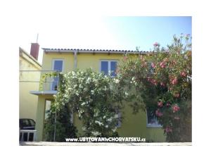Apartment Slatina