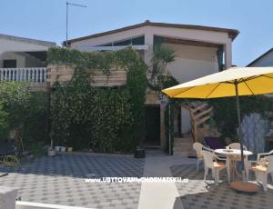 Apartment Vir