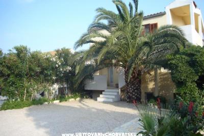 Apartments Tonka Kaleb