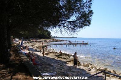 Apartments San Pelegrin