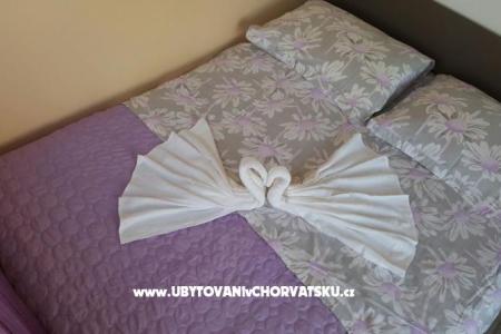 Apartment Dino photo 2