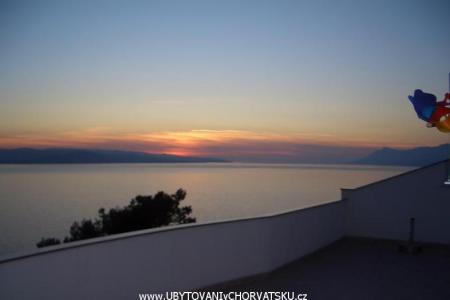 Apartments Covic photo 2