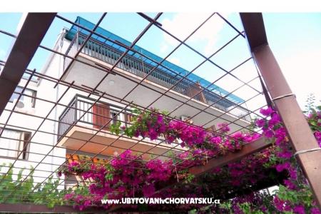 Villa Borovina photo 4