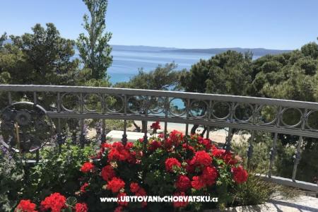 House Veronika photo 5