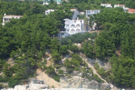 Ivana Apartments photo 2