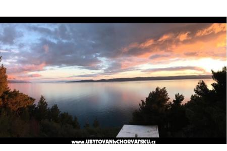 Ivana Apartments photo 2