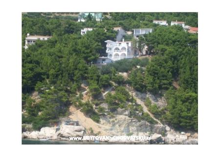 Ivana Apartments photo 3