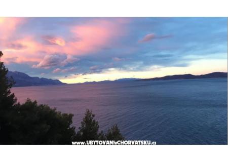 Ivana Apartments photo 5