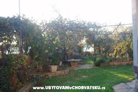 Apartments and House Spika photo 5
