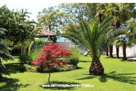 Dragan Apartments photo 5