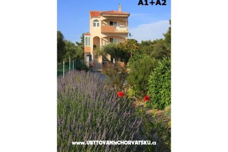 Apartments Alena photo 2