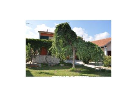 Apartment Smilja     photo 5
