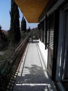 Apartments Peran photo 2