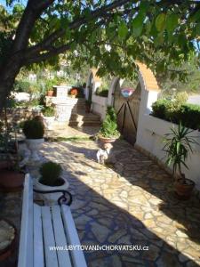 Apartments Sandra photo 2