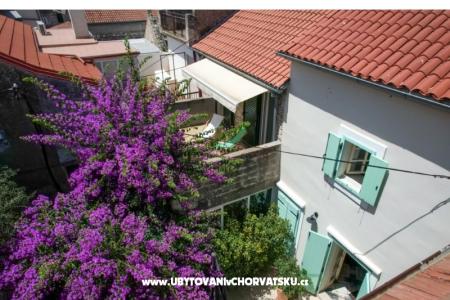 House Vesela photo 2
