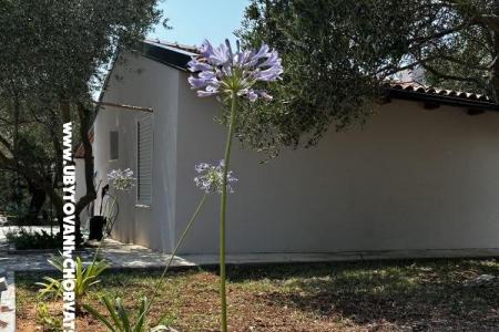 Primorje – Biograd Croatia