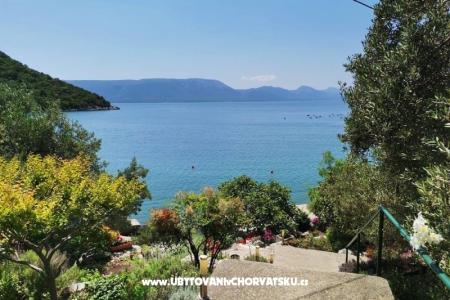 Apartments Maja Blace Croatia