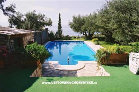 House Pipinic photo 3