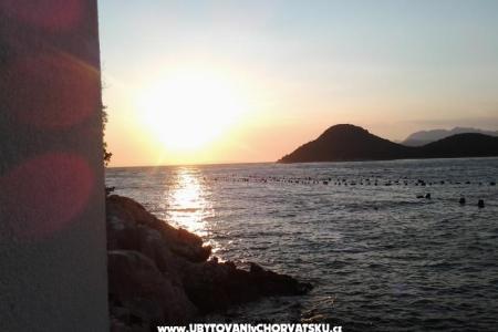 Villa Mala photo 2