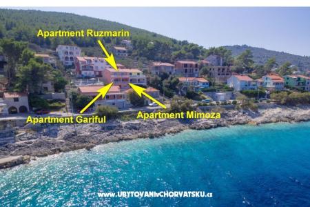 Apartments Andrijic photo 4
