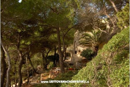 Pera Apartments photo 5