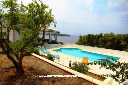 Villa Dora photo 5