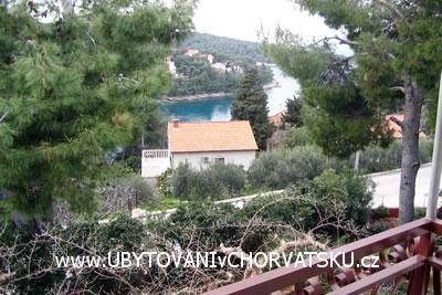 Apartments Bezmalinović photo 5