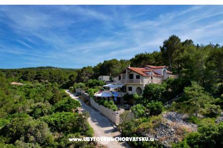 Apartments Villa Dragica photo 5