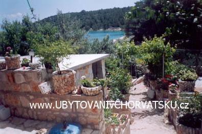 Apartments Miletic photo 3