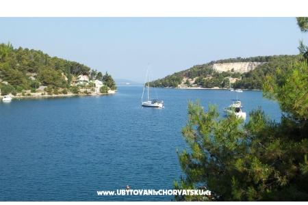 Villa Roza Bobovišče photo 5