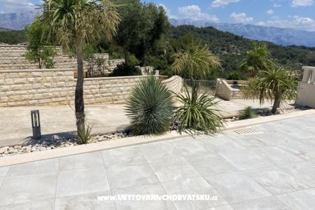 Vacation house Lokanjac photo 5