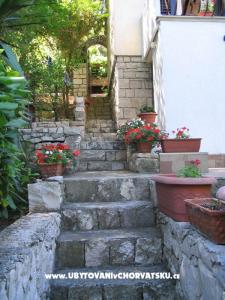 Sea House photo 2