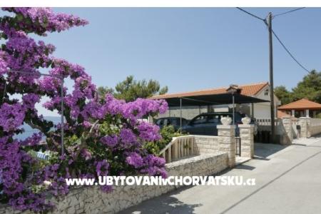 Villa Ana Pension photo 4