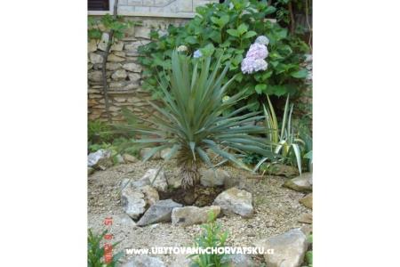Vila Blanka Sutivan photo 5