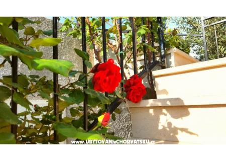 Apartments Bezma photo 3
