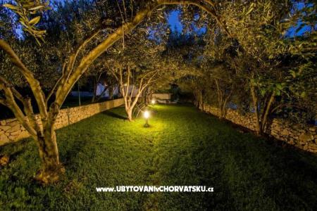 Villa Nikola photo 3