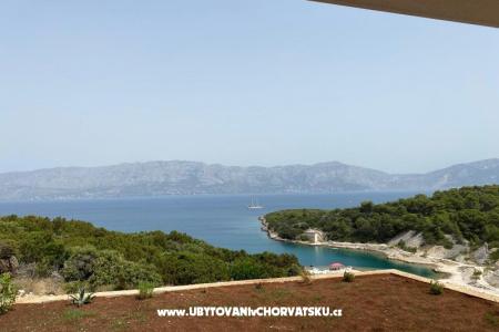 Villa Silvia photo 5