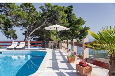 Villa Vera photo 3