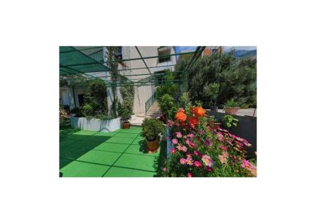 Apartments Ribičić Brela photo 4