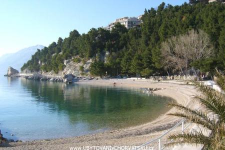 Apartments Tomas Brela Brela Croatia