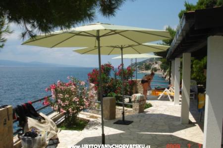 Apartments Villa Antares photo 3