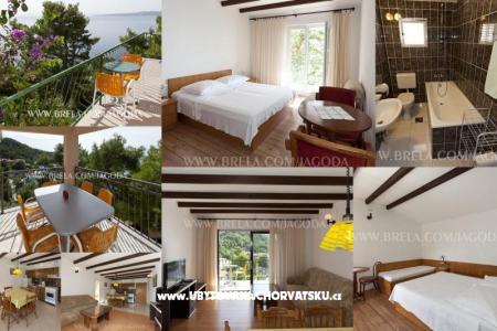 Apartments Jagoda photo 5