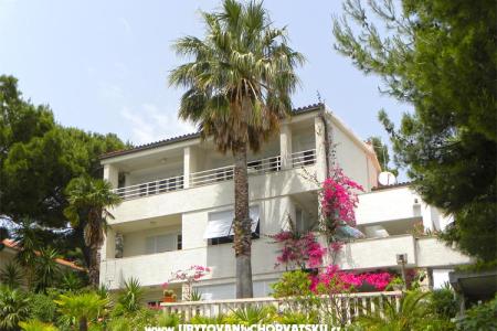 Apartments Carmen Brela Croatia