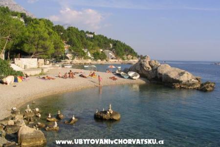 Hotel Vila Luka photo 5