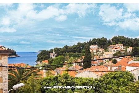 Ucovic Apartments photo 2
