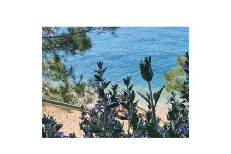 Vacation house photo 4