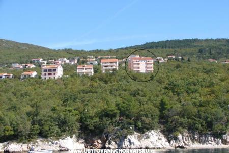 ADRIA photo 5