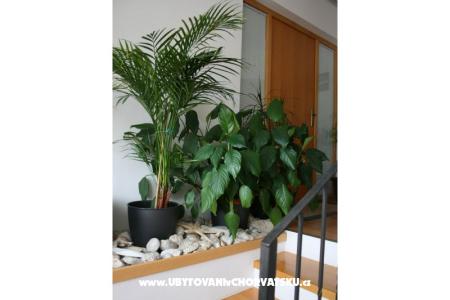 Apartments Katarina photo 4