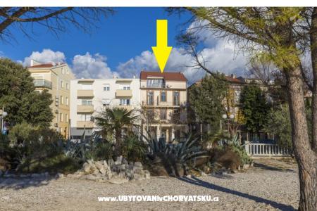 Beach Center photo 3