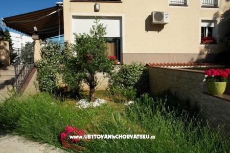 Villa Dolly photo 2